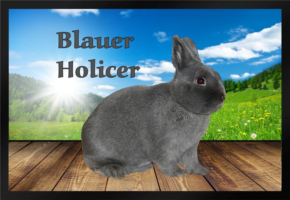 Fußmatte Schmutzfangmatte Kaninchen Blauer Holicer F828 60x40 cm