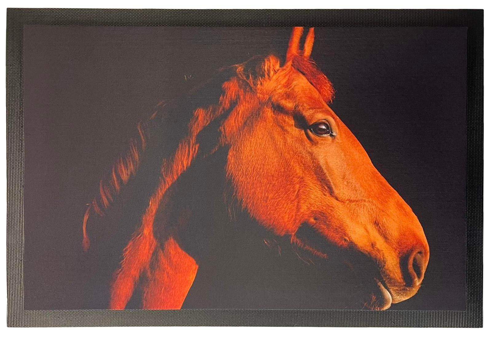 Fußmatte Schmutzfangmatte rutschfest Pferd  F022 60x40 cm