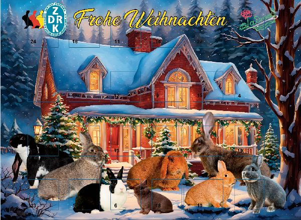 Adventskalender Rassekaninchen  mit Schokolade gefüllt Vers. 1 zd159