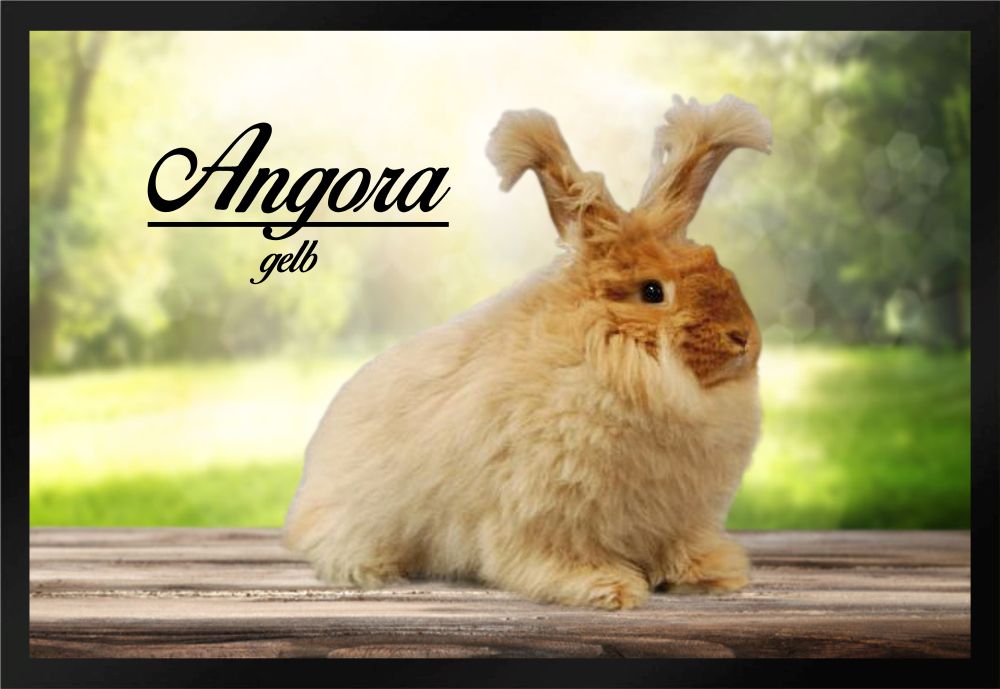 Fußmatte Schmutzfangmatte Kaninchen Angora gelb F825 60x40 cm