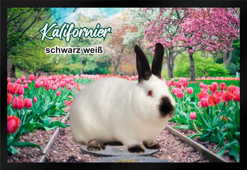 Fußmatte  Kaninchen Kalifornier schwarz weiß F1294 60x40 cm