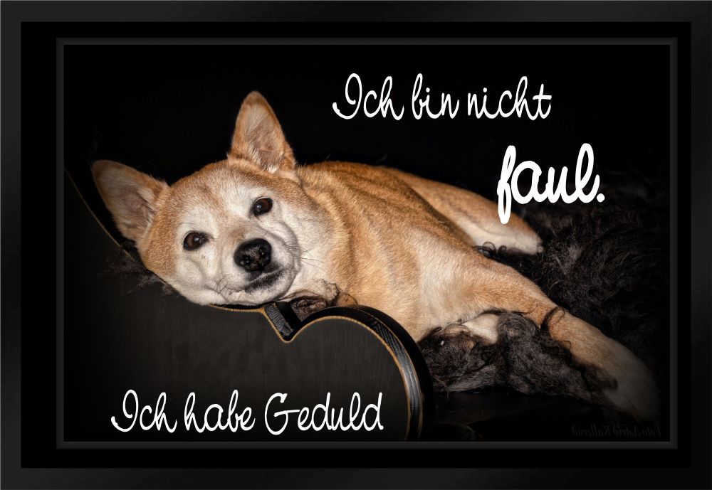 Fußmatte Schmutzfangmatte Hund Faul Geduld F405 60x40 cm