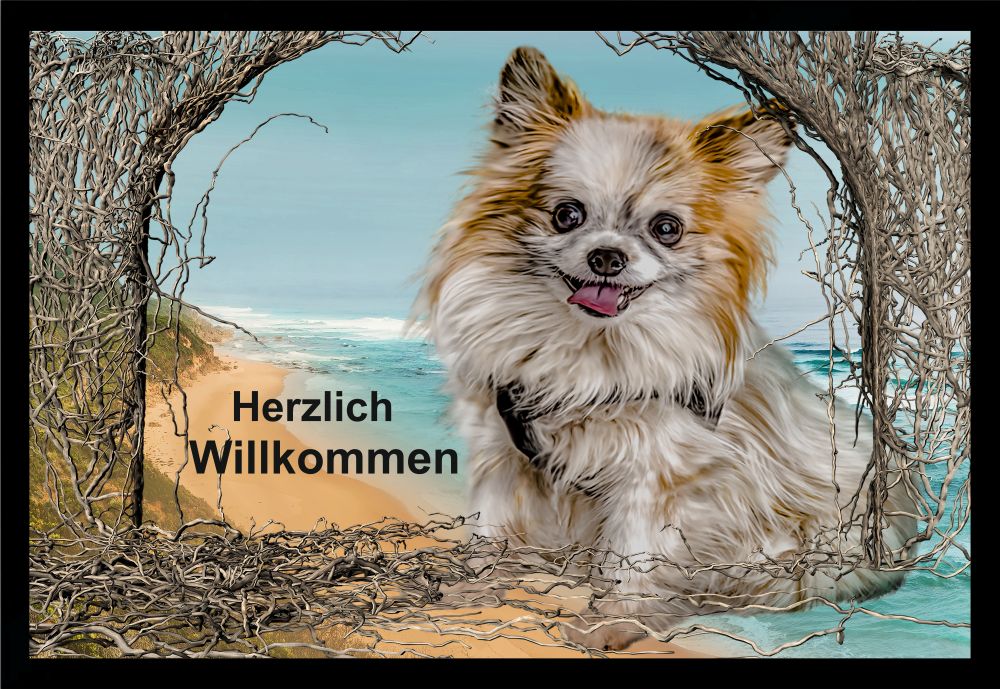 Fußmatte Schmutzfangmatte Herzlich Willkommen Hund F779 60x40 cm