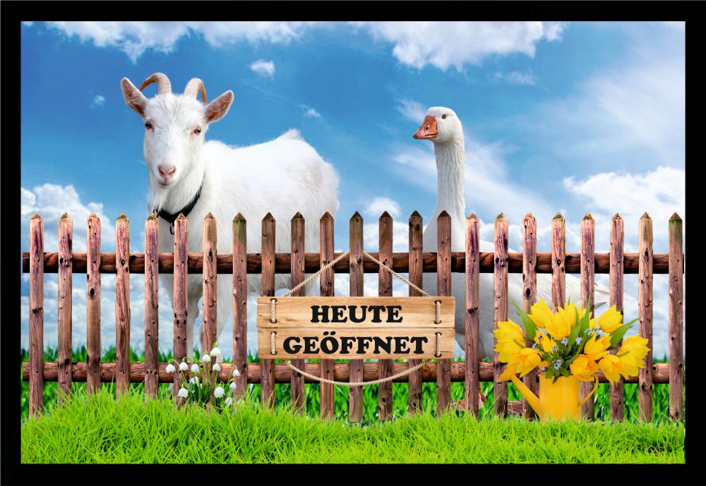 Fußmatte Schmutzfangmatte Heute geöffnet Ziege Gans F770 60x40 cm