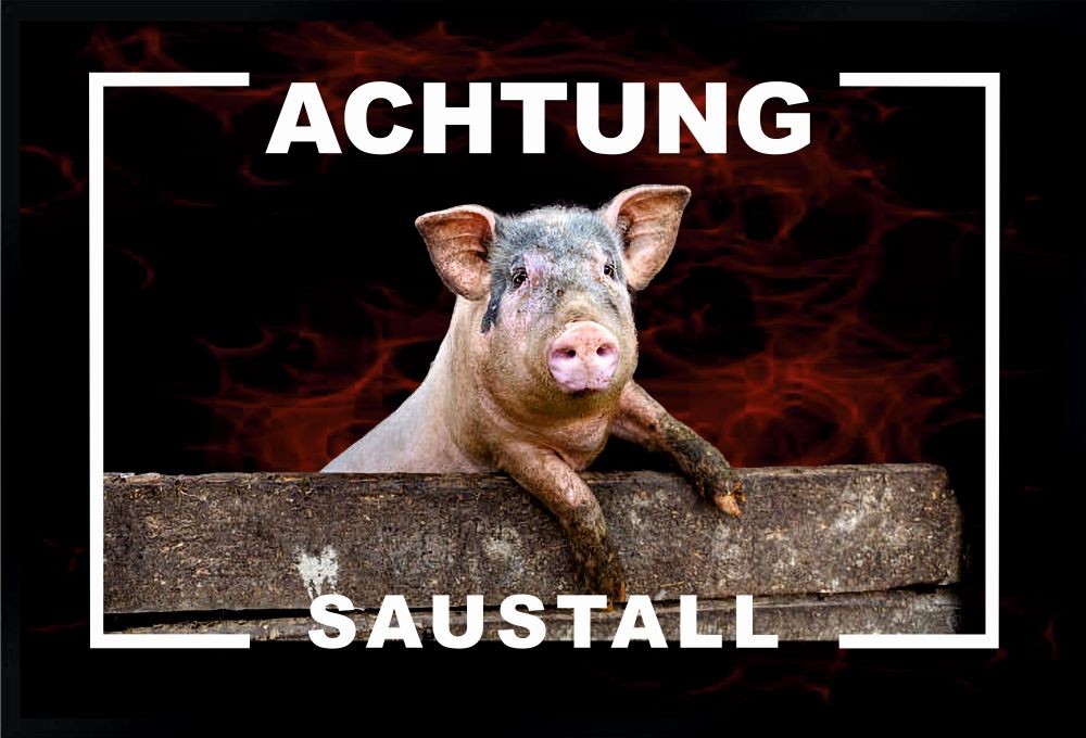 Fußmatte Schmutzfangmatte rutschfest Saustall F241 60x40 cm