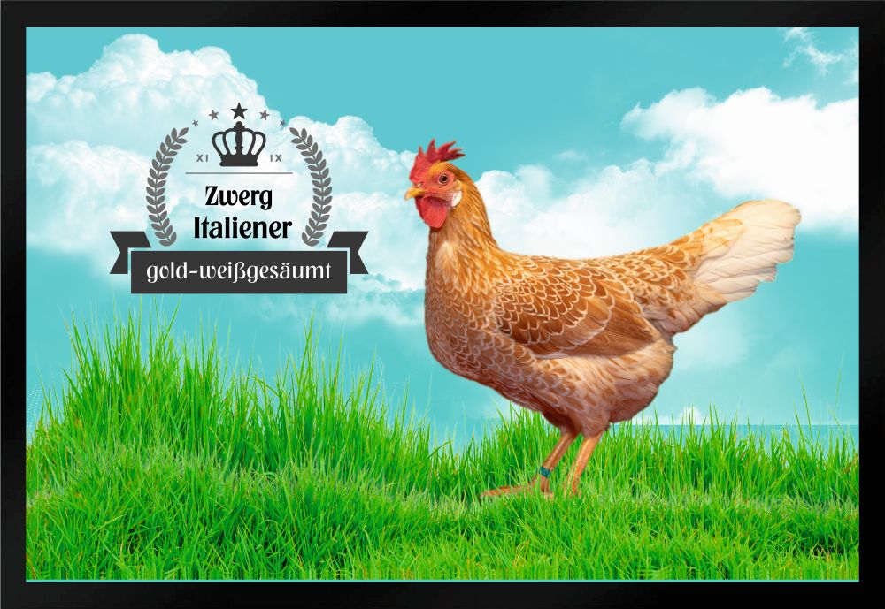 Fußmatte Fußmatte Hühner Zwerg Italiener gold weißgesäumt F1320 60x40 cm