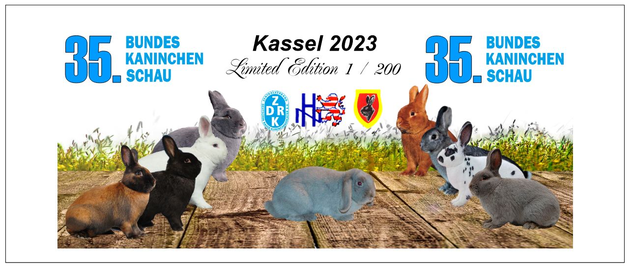 limitierte Erinnerungstasse 35. Bundeskaninchenschau Kassel