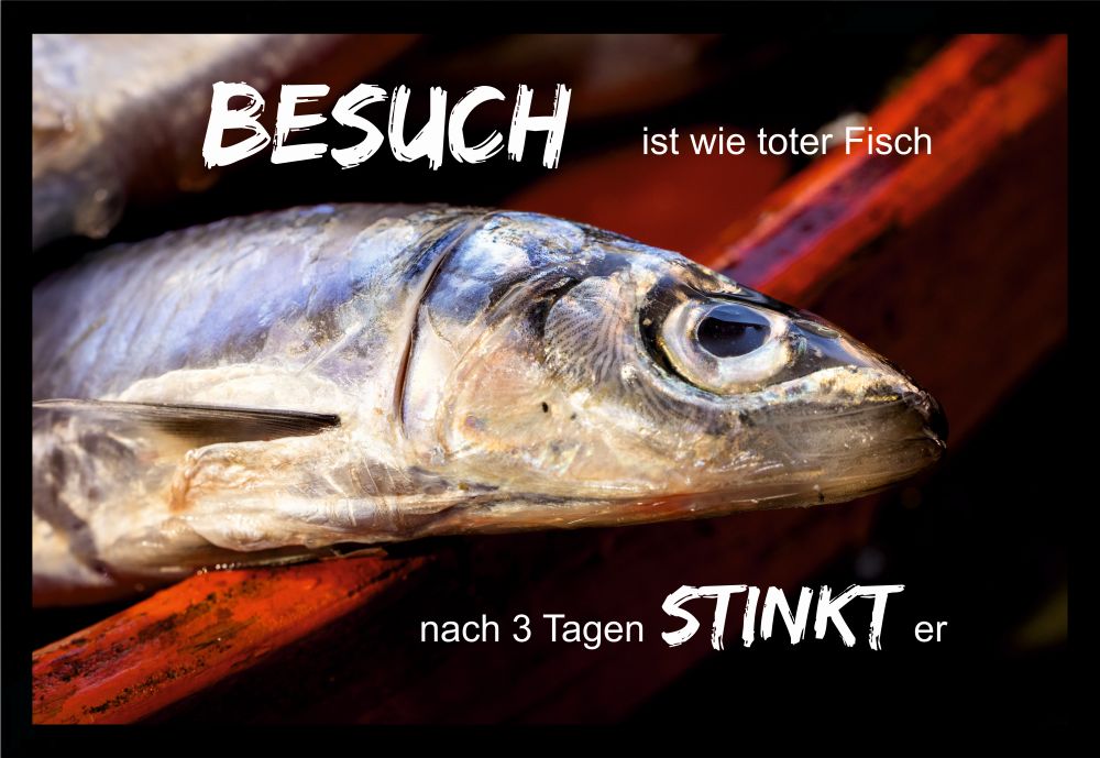 Fußmatte Schmutzfangmatte Besuch ist wie toter Fisch stinkt F780 60x40 cm