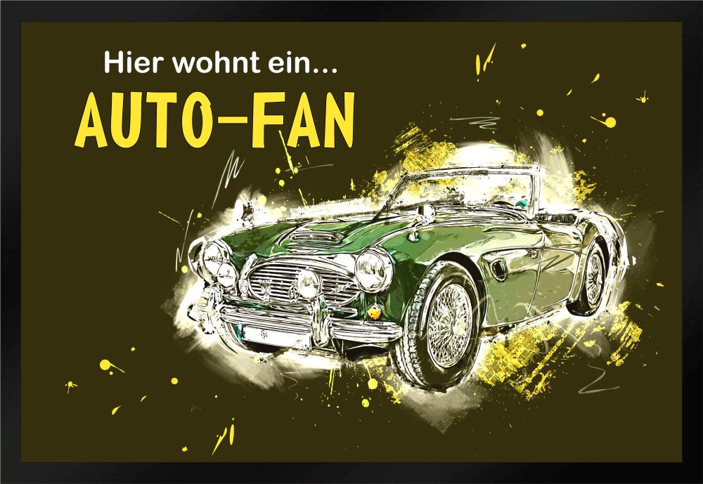 Fußmatte Schmutzfangmatte Auto Fan F536 60x40 cm