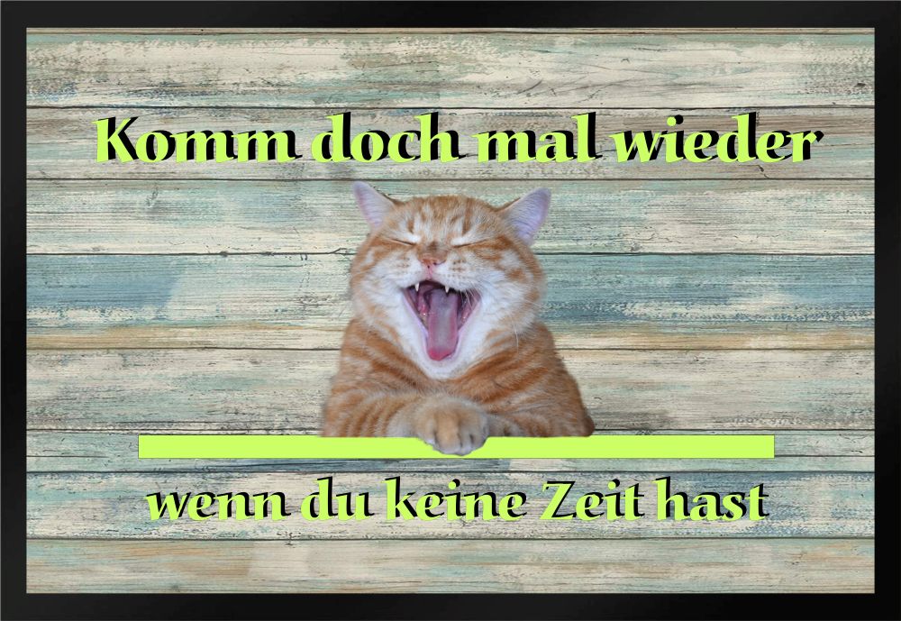 Fußmatte Schmutzfangmatte Katze Komm Keine Zeit F412 60x40 cm