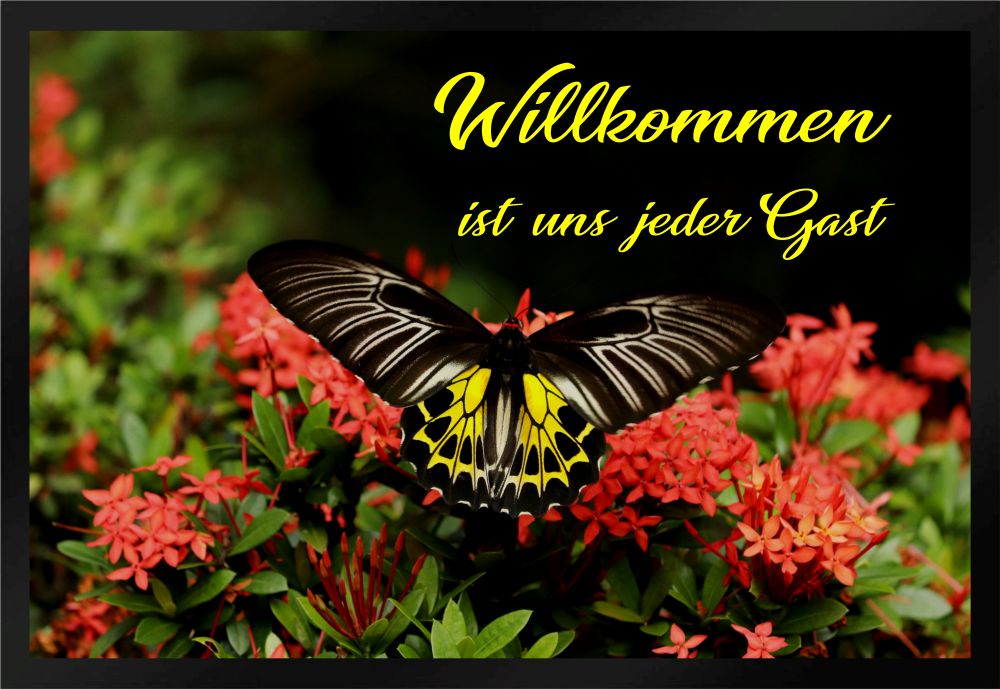 Fußmatte Schmutzfangmatte Willkommen Gast Schmetterling Blumen F477 60x40 cm