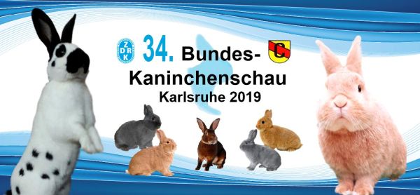 2 Stk. Fan Tasse Bundeskaninchenschau 2019 Kaninchen