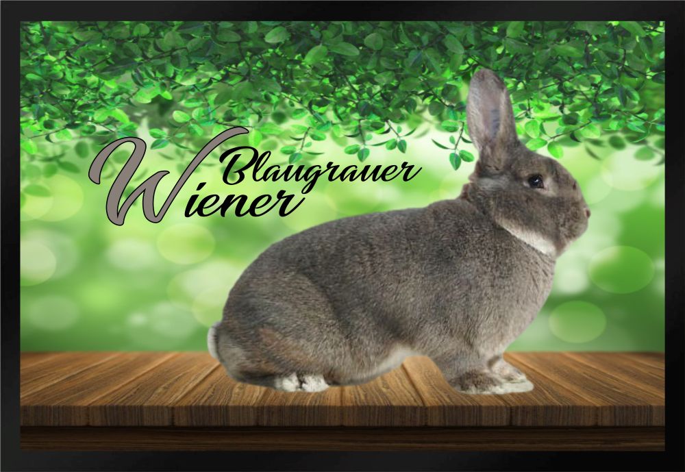 Fußmatte Schmutzfangmatte Kaninchen Blaugrauer Wiener F831 60x40 cm