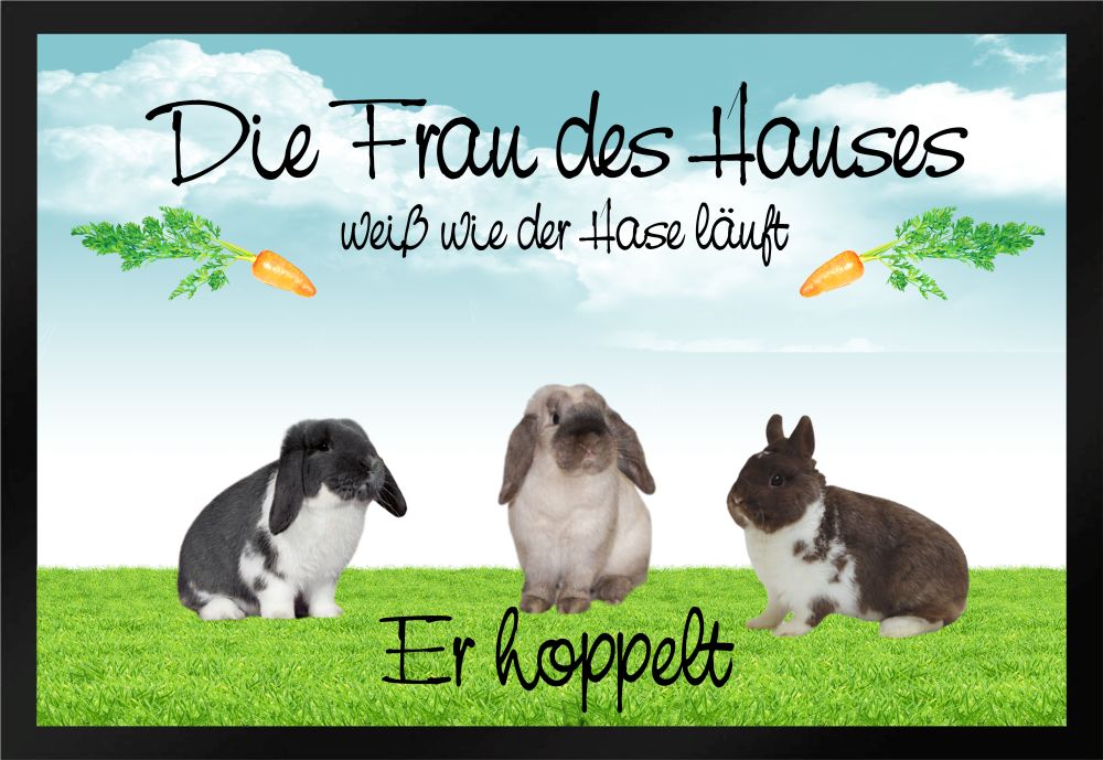 Fußmatte Schmutzfangmatte Frau Haus Hase Hoppelt Möhren F490 60x40 cm