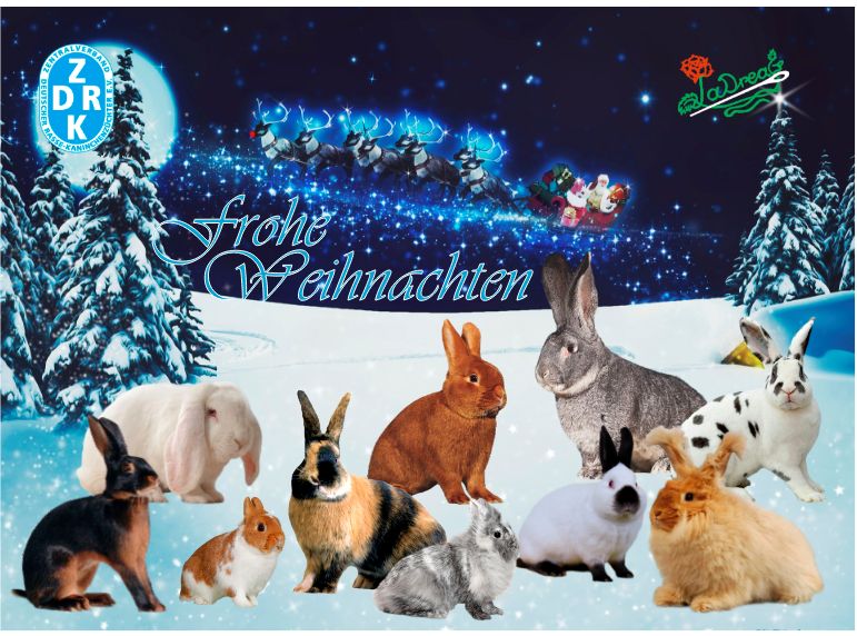 Adventskalender Rassekaninchen mit Schokolade gefüllt Vers. 2