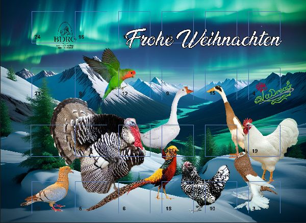 Adventskalender Rassegeflügel mit Schokolade gefüllt