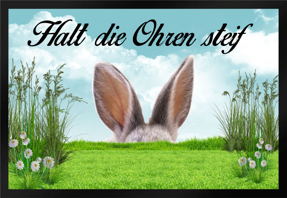 Fußmatte Schmutzfangmatte Ostern Halt die Ohren steif F602 60x40 cm