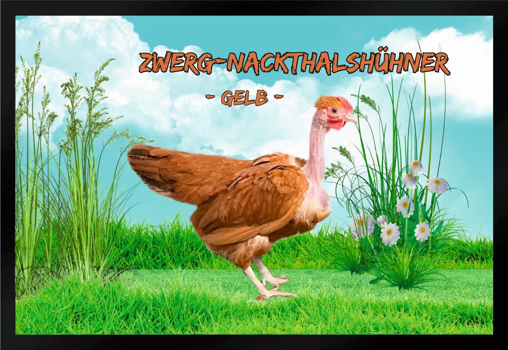 Fußmatte Fußmatte Hühner Zwerg Nackthalshühner gelb F1314 60x40 cm
