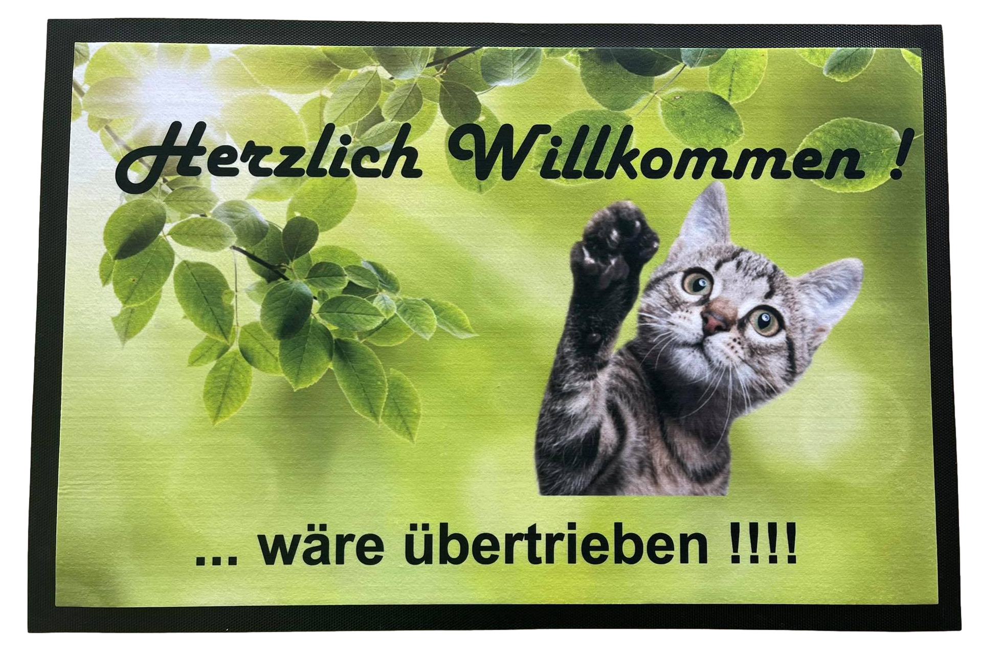 Fußmatte Schmutzfangmatte rutschfest Willkommen Katze 75x50cm F002