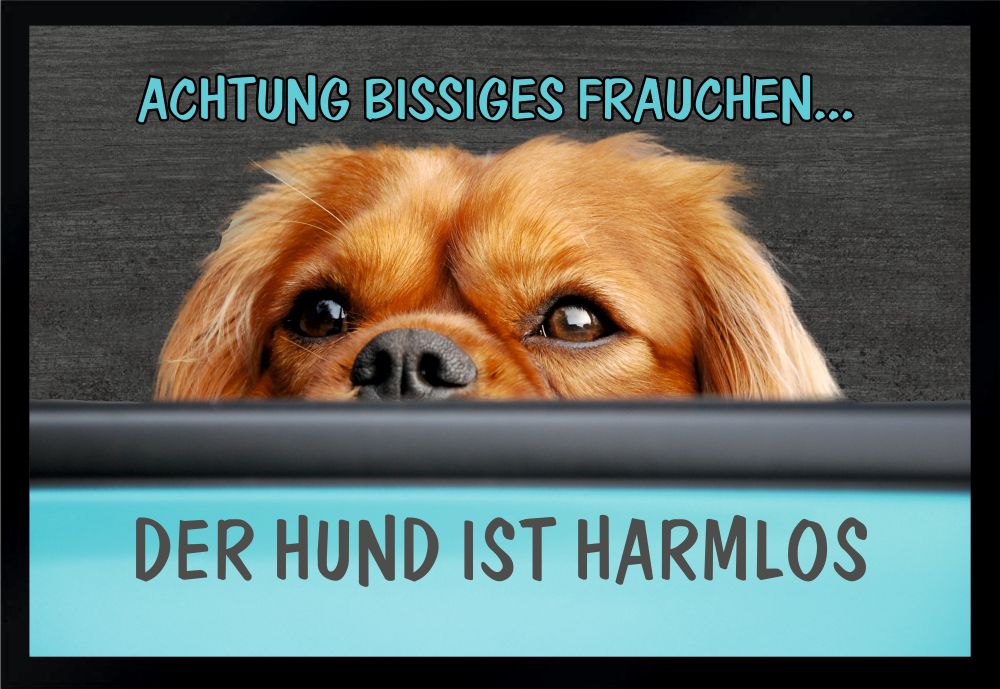 Fußmatte Schmutzfangmatte Frau bissig Hund harmlos F256 60x40 cm