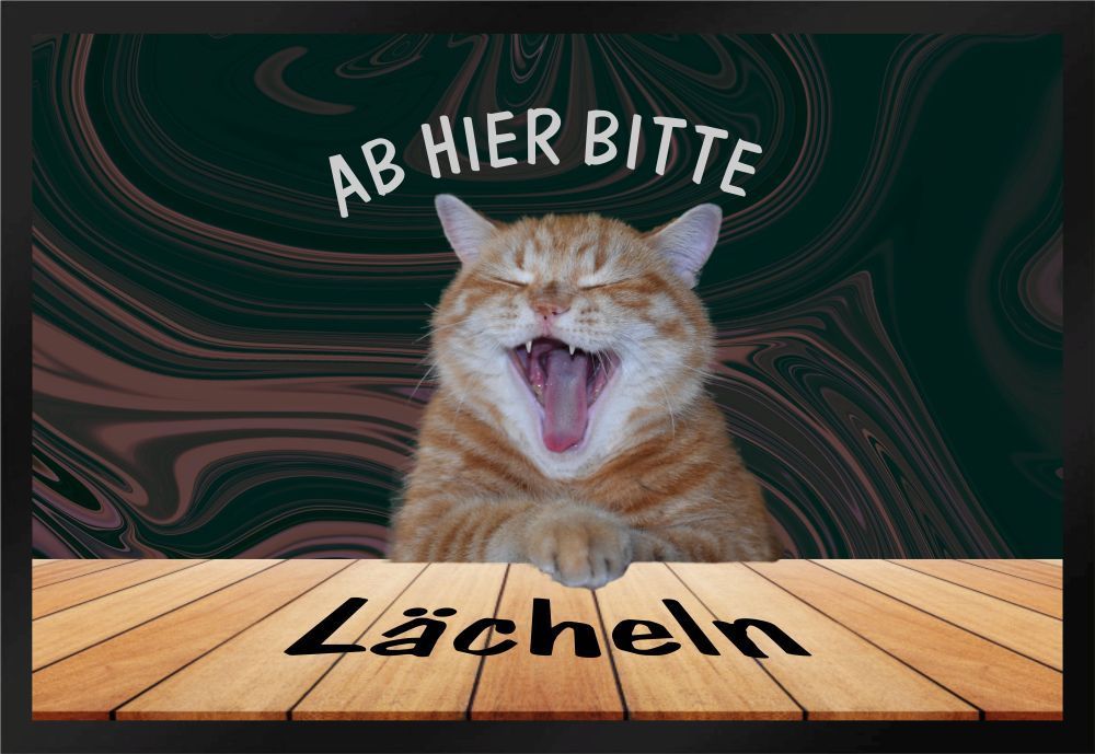 Fußmatte Schmutzfangmatte Katze Ab hier bitte lächeln F365 60x40 cm