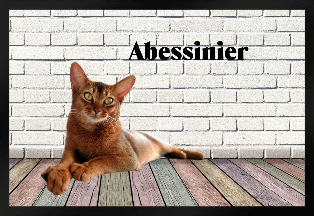 Fußmatte Schmutzfangmatte Katze Rassekatze Abessinier F1202 60x40 cm
