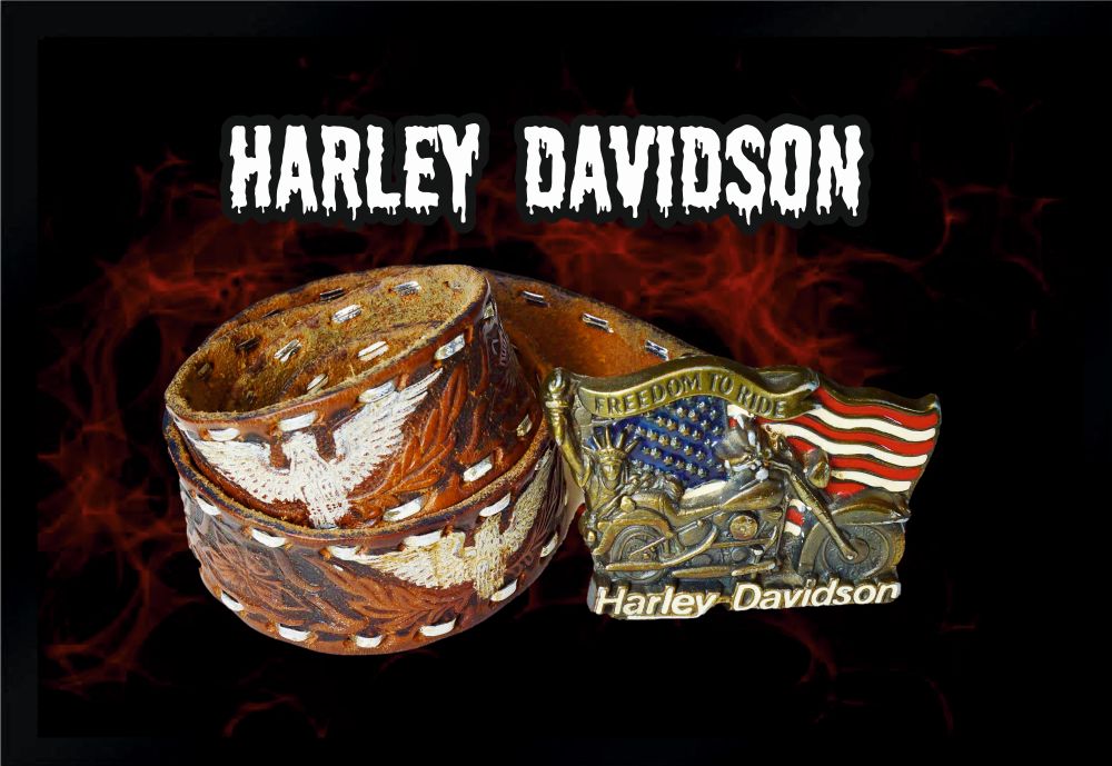 Fußmatte Schmutzfangmatte Harley Davidson F117 60x40 cm