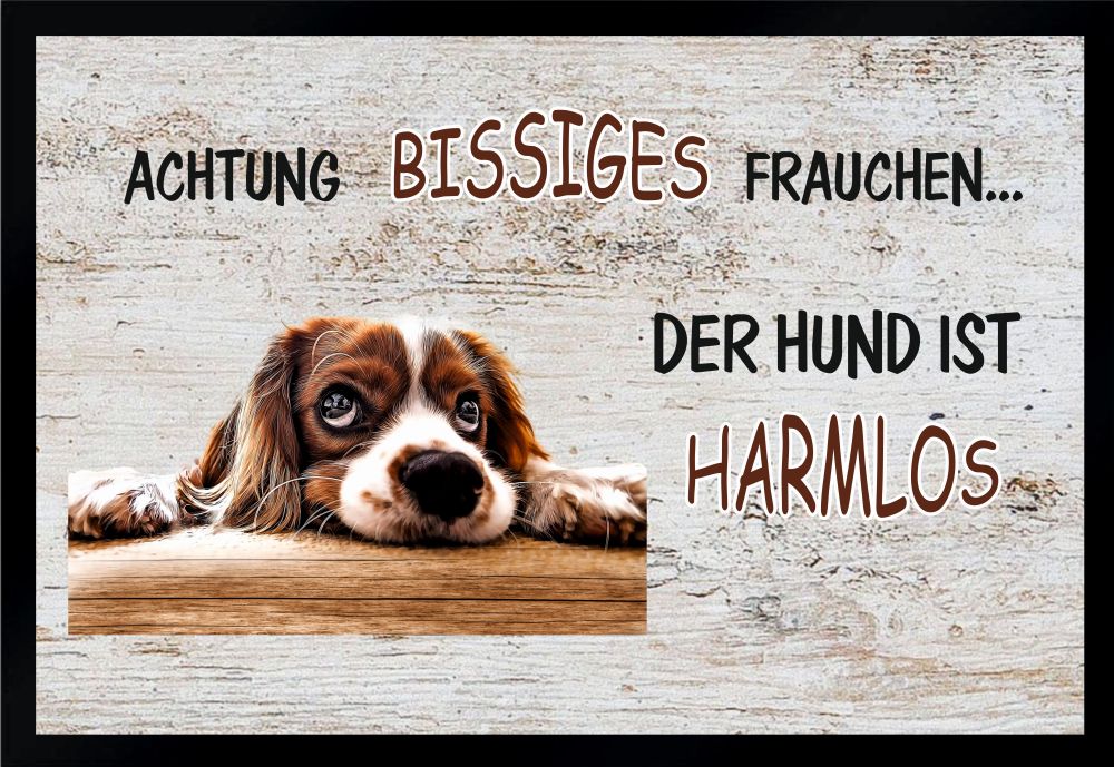 Fußmatte Schmutzfangmatte Frau bissig Hund harmlos F255 60x40 cm