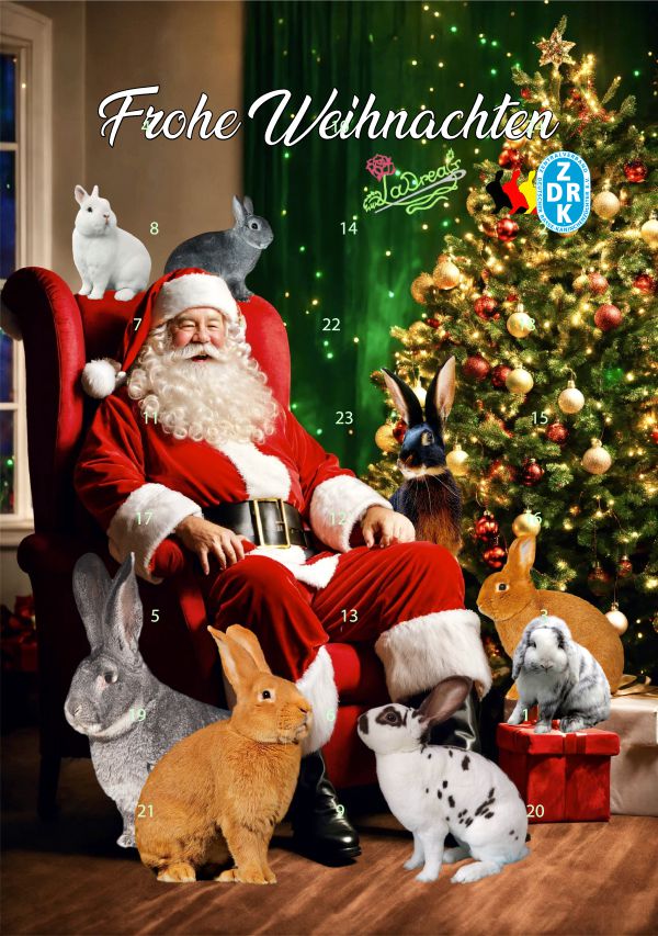 Adventskalender Rassekaninchen mit Schokolade gefüllt