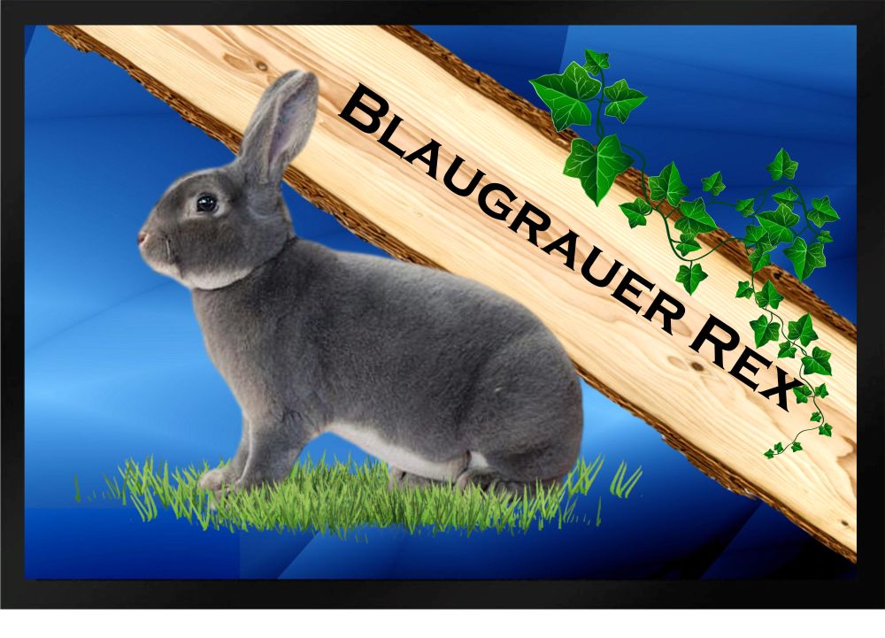 Fußmatte Schmutzfangmatte Kaninchen Blaugrauer Rex F830 60x40 cm
