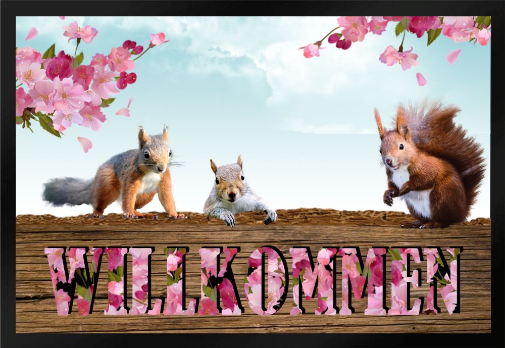 Fußmatte Schmutzfangmatte  rutschfest Willkommen Eichhörnchen F562 60x40 cm